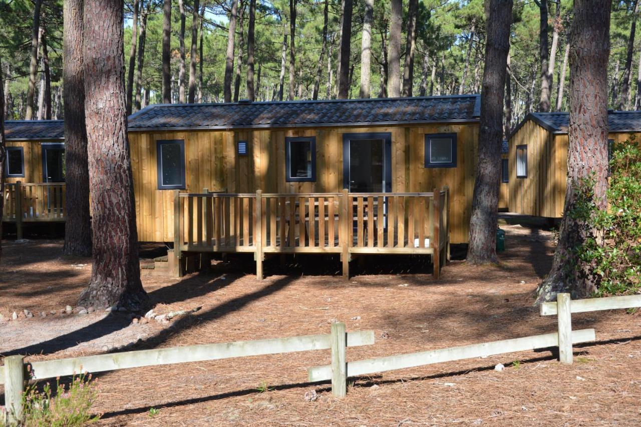 Wellness Sport Camping - La Dune Bleue カルカン エクステリア 写真