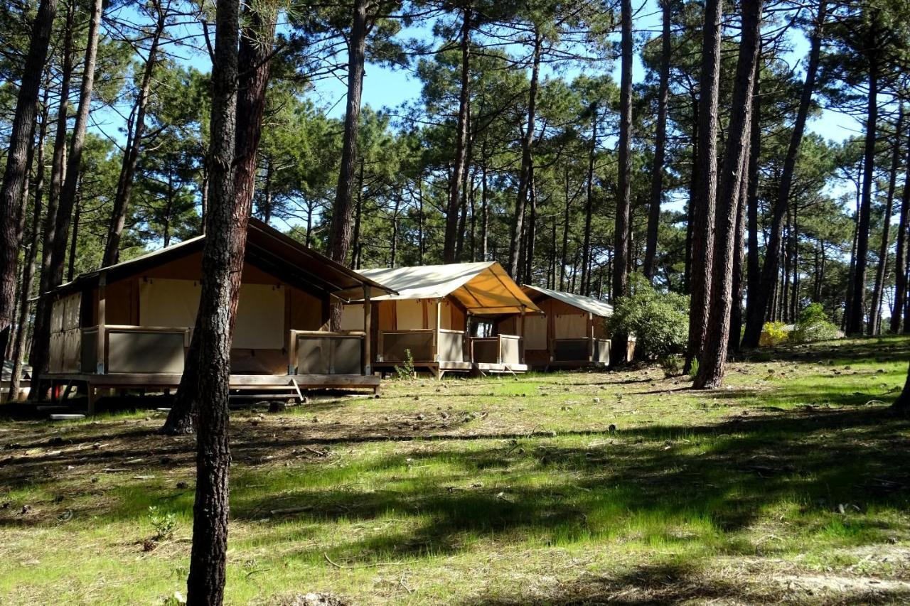 Wellness Sport Camping - La Dune Bleue カルカン エクステリア 写真